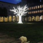 cropped-DSCN0511.jpg
